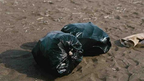 environmental section tacloban @gmail.com|Tacloban LGU launches campaign to reduce plastic waste.